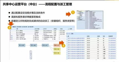 sap财务共享中心 中台 的建设